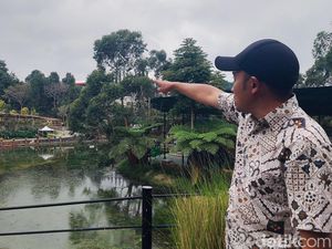 Jejak Macan Tutul Kabur di Lembang Menuju Hutan Gunung Tangkuban Parahu Jejak Macan Tutul Kabur di Lembang Menuju Hutan Gunung Tangkuban Parahu