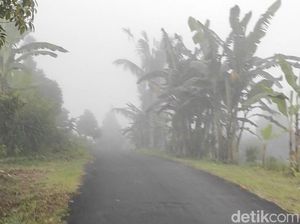 Menyusuri Munduk Duk Badung, Kampung Kebun yang Gelap Tanpa Listrik Menyusuri Munduk Duk Badung, Kampung Kebun yang Gelap Tanpa Listrik
