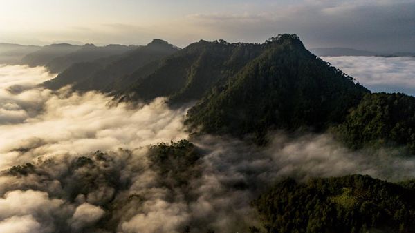 Menjaga Warisan Bumi di Kota Walet
