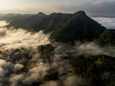 Menjaga Warisan Bumi di Kota Walet