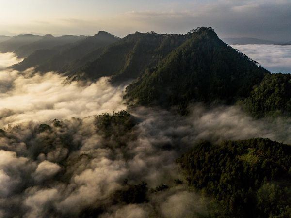 Menjaga Warisan Bumi di Kota Walet