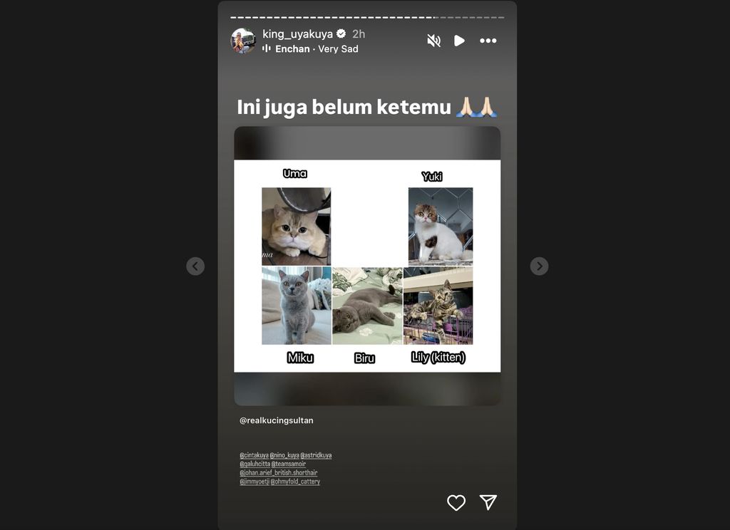 Uya Kuya