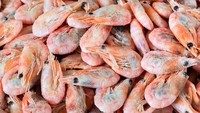 Empat Laboratorium Indonesia Lolos Persetujuan FDA untuk Uji Cs-137 pada Udang