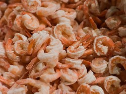 Pemprov Banten Buka Suara soal Temuan Udang Beku Terpapar Zat Radioaktif
