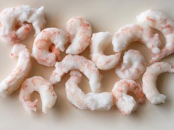 Udang Beku Terkontaminasi Radioaktif Ditemukan di Serang, Ini Kata BPOM