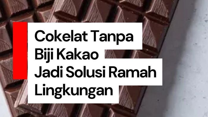 Video: Membuat Cokelat Tanpa Biji Kakao Bisa Jadi Solusi Ramah Lingkungan