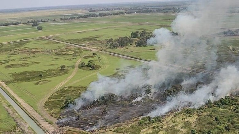 179 Hektar Lahan di Ogan Ilir Hangus Terbakar, Siapa Pemiliknya?
