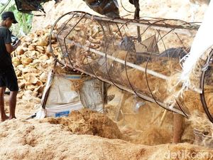 Mentan Klaim RI Bisa Raup Rp 2.400 T dari Hilirisasi Kelapa Mentan Klaim RI Bisa Raup Rp 2.400 T dari Hilirisasi Kelapa