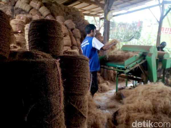 Manfaatkan Limbah Sabut Kelapa untuk Bahan Baku Sapu