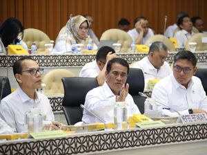 Produksi Beras Nasional Surplus 3,7 Juta Ton, Komisi IV Apresiasi Mentan