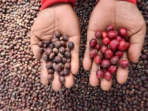 Resi Gudang Bisa Genjot Pendapatan Petani Kedelai & Kopi