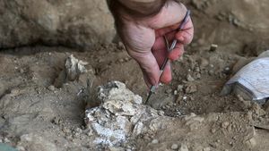 Penemuan Mengejutkan Rahang Manusia Purba Berusia 1,8 Juta Tahun di Georgia