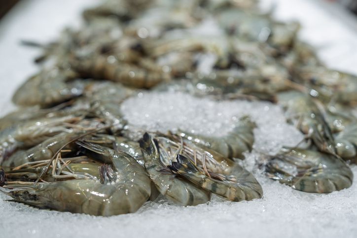 udang