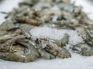 Heboh Udang Terkontaminasi Radioaktif, Pakar Ungkap Cara Aman Mengolahnya Heboh Udang Terkontaminasi Radioaktif, Pakar Ungkap Cara Aman Mengolahnya