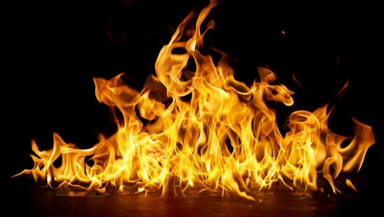 Iseng Bakar Daun Kering, Satu Hektare Lahan di Kapuas Terbakar