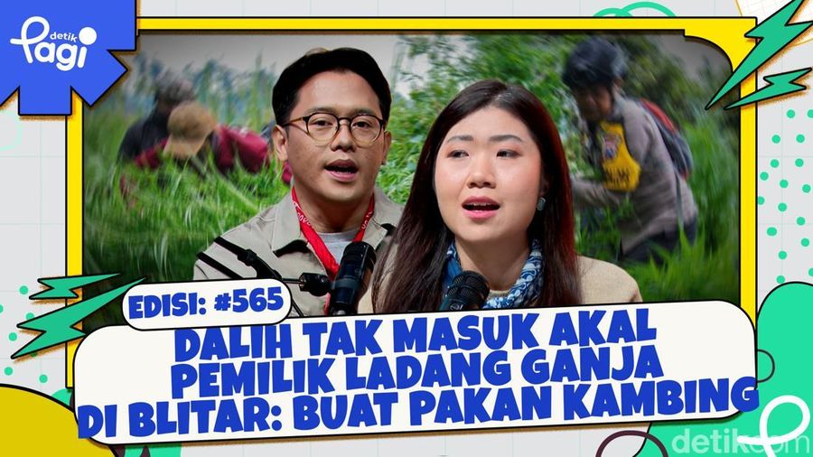 Video: Dalih Tak Masuk Akal Pemilik Ladang Ganja di Blitar: Buat Pakan Kambing