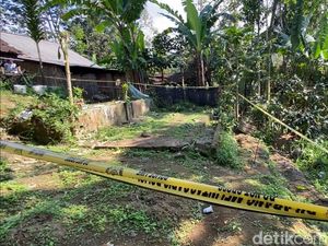 Penampakan Ladang Ganja di Blitar Dipasangi Garis Polisi