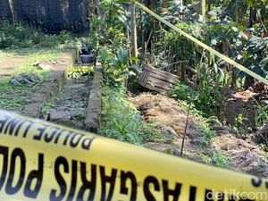 Foto Ladang Ganja yang Ditemukan di Blitar Dipasang Garis Polisi