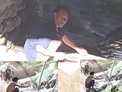 Video: Heboh Pria di Sumsel Jagal Ratusan Kucing, Dagingnya Dijual ke Warga