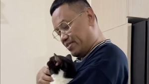 Video Top 5: Nasib Kucing Uya Kuya hingga Peluncuran Satelit Nusantara 5