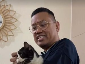 Terima Kasih Orang Baik! 2 Kucing Uya Kuya Ditemukan Terima Kasih Orang Baik! 2 Kucing Uya Kuya Ditemukan