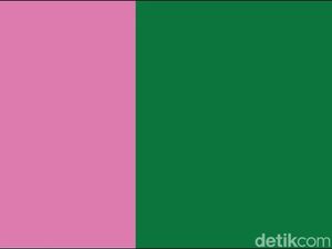 Akar Sejarah Brave Pink dan Hero Green, Dari Pink Job Barat dan Folklor Indonesia Akar Sejarah Brave Pink dan Hero Green, Dari Pink Job Barat dan Folklor Indonesia