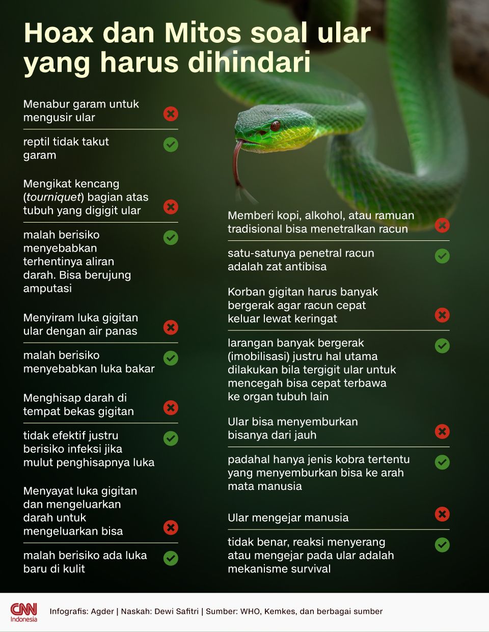 infografis: Hoax dan Mitos soal ular yang harus dihindari