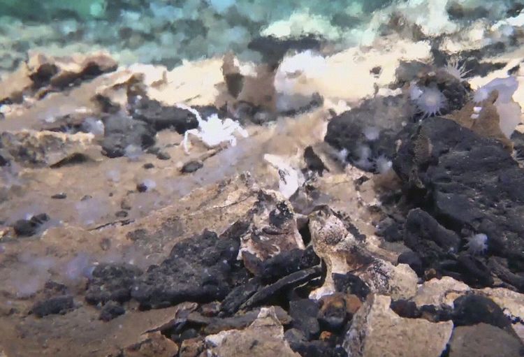 Terkuak: Mekanisme Unik Lava Bawah Laut Mengunci Karbon Dioksida
