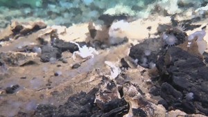 Temuan Mengejutkan Ilmuwan China di Kawah Raksasa Dasar Laut