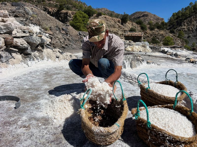 Mouhouche Oulha, 63, an Algerian salt farmer works at the village of Belayel, as they preserve a centuries-old tradition of hand-harvesting salt from a natural high-altitude lake, in Bejaia, in the Kabyle mountains of northeastern Algeria, August 30, 2025. REUTERS/Abdelaziz Boumzar TPX IMAGES OF THE DAY