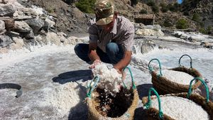 Melihat Tradisi Panen Garam Berusia Ratusan Tahun di Aljazair