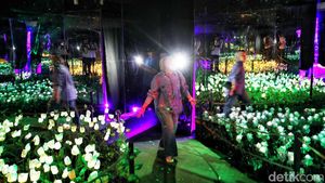Sensasi Cahaya di Kota Tua, Museum Light Art Jadi Spot Favorit Libur Maulid