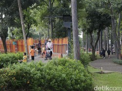 Video: Pengelola Panggil Komunitas Fotografer Imbas Pungli di Tebet Eco Park