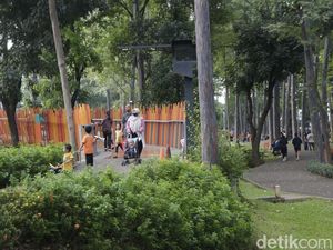 Video: Pengelola Panggil Komunitas Fotografer Imbas Pungli di Tebet Eco Park Video: Pengelola Panggil Komunitas Fotografer Imbas Pungli di Tebet Eco Park