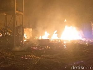 20 Ribu Ayam Mati Terpanggang Saat Kebakaran Kandang di Probolinggo 20 Ribu Ayam Mati Terpanggang Saat Kebakaran Kandang di Probolinggo