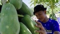 Jenis Kopi untuk Pemula hingga Petani Buah Raup Rp 50 Juta per Bulan