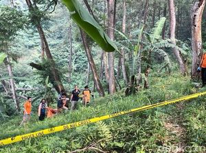 Terungkap Fakta secara Ilmiah soal Alvi Mutilasi Tiara 554 Potong Terungkap Fakta secara Ilmiah soal Alvi Mutilasi Tiara 554 Potong