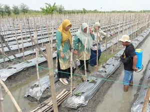 TPS 3R Sekaran Lamongan Hasilkan Pupuk Organik dan Pakan Ternak TPS 3R Sekaran Lamongan Hasilkan Pupuk Organik dan Pakan Ternak