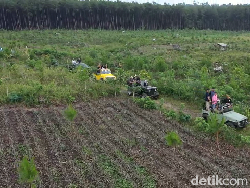 Video Pinus Sewu, Rekomendasi Wisata di Lumajang