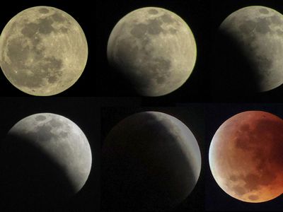 Fenomena Blood Moon Hiasi Langit Indonesia, Terlihat dari Depok hingga Lombok