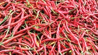 Harga Cabai Merah di Sumut Melonjak, Tertinggi Tembus Rp 45 Ribu/Kg