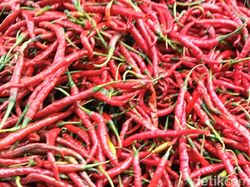 Harga Cabai di Pasar Rawamangun Rp 80.000/Kg, Bapanas Sebut Mulai Turun
