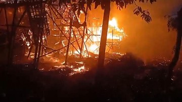 Kandang Ternak di Lebak Terbakar, 8.500 Ayam Ikut Terpanggang