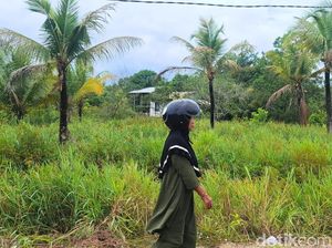 Lahan Makin Tak Produktif, Warga Tarakan Soroti Aktivitas Pabrik Kertas Lahan Makin Tak Produktif, Warga Tarakan Soroti Aktivitas Pabrik Kertas