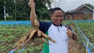 Narji Punya Lahan 1.000 Hektar hingga Indomie Jadi Mie Instan Terenak