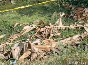 Bayi Dibuang di Pasuruan Dikembalikan ke Ibunya yang Masih 16 Tahun Bayi Dibuang di Pasuruan Dikembalikan ke Ibunya yang Masih 16 Tahun