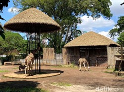 Bandung Zoo Bakal Diambil Alih Pemerintah Pusat
