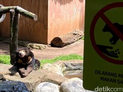 Kesunyian yang Sesekali Pecah di Kebun Binatang Bandung