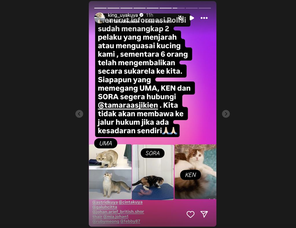 Uya Kuya mengungkapkan tiga ekor kucingnya masih hilang setelah rumahnya dijarah oleh massa pada Minggu (31/9), sementara sebagian kucingnya yang lain sudah dikembalikan.