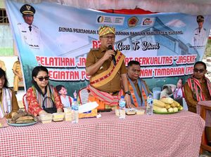 Pemkab Kupang Terima Rp 500 Miliar untuk Program MBG Pemkab Kupang Terima Rp 500 Miliar untuk Program MBG